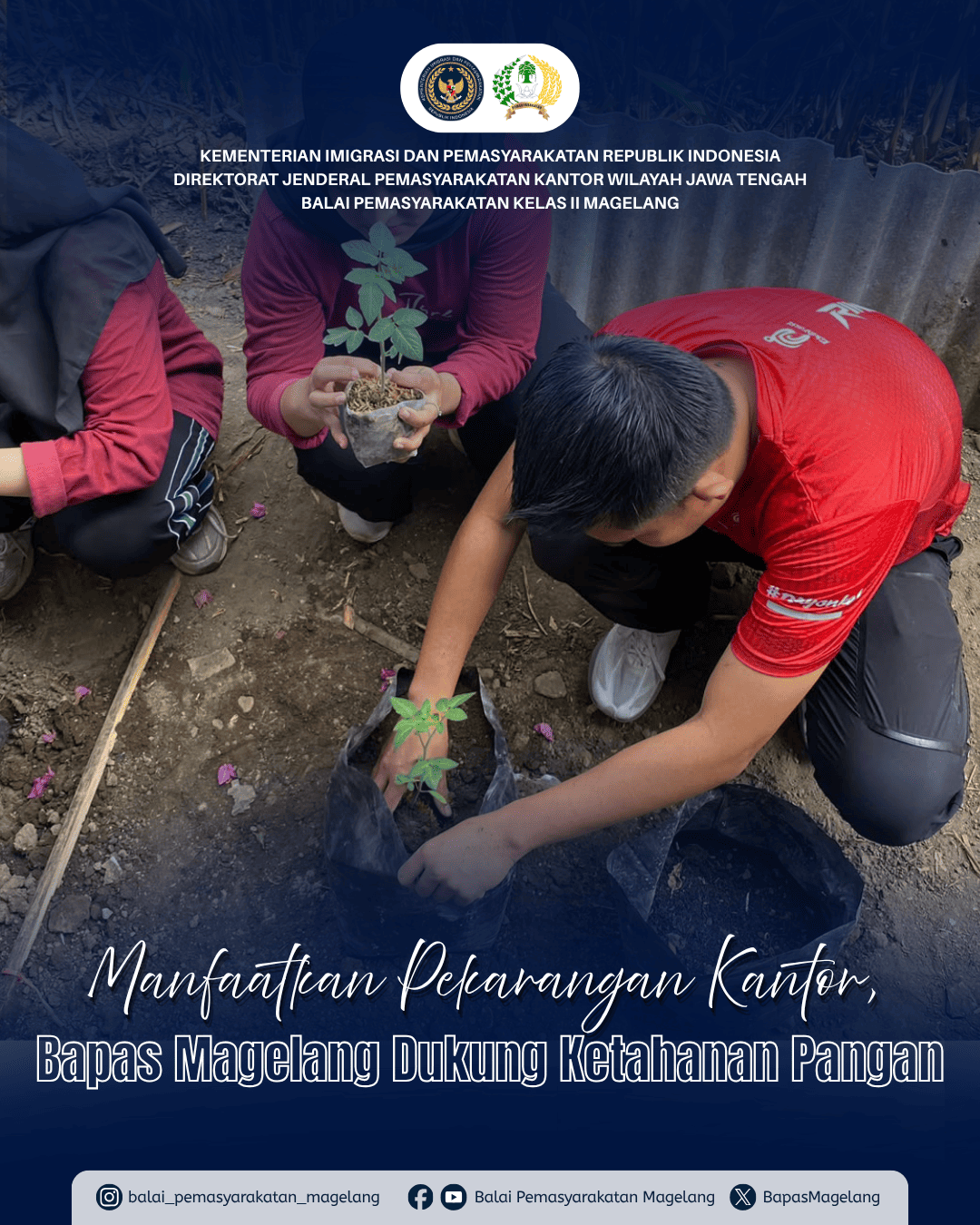 🌱 Manfaatkan Pekarangan Kantor, Bapas Magelang Dukung Ketahanan Pangan 🌱